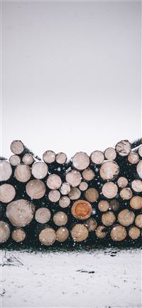 pile of wood logs iPhone 11 wallpaper