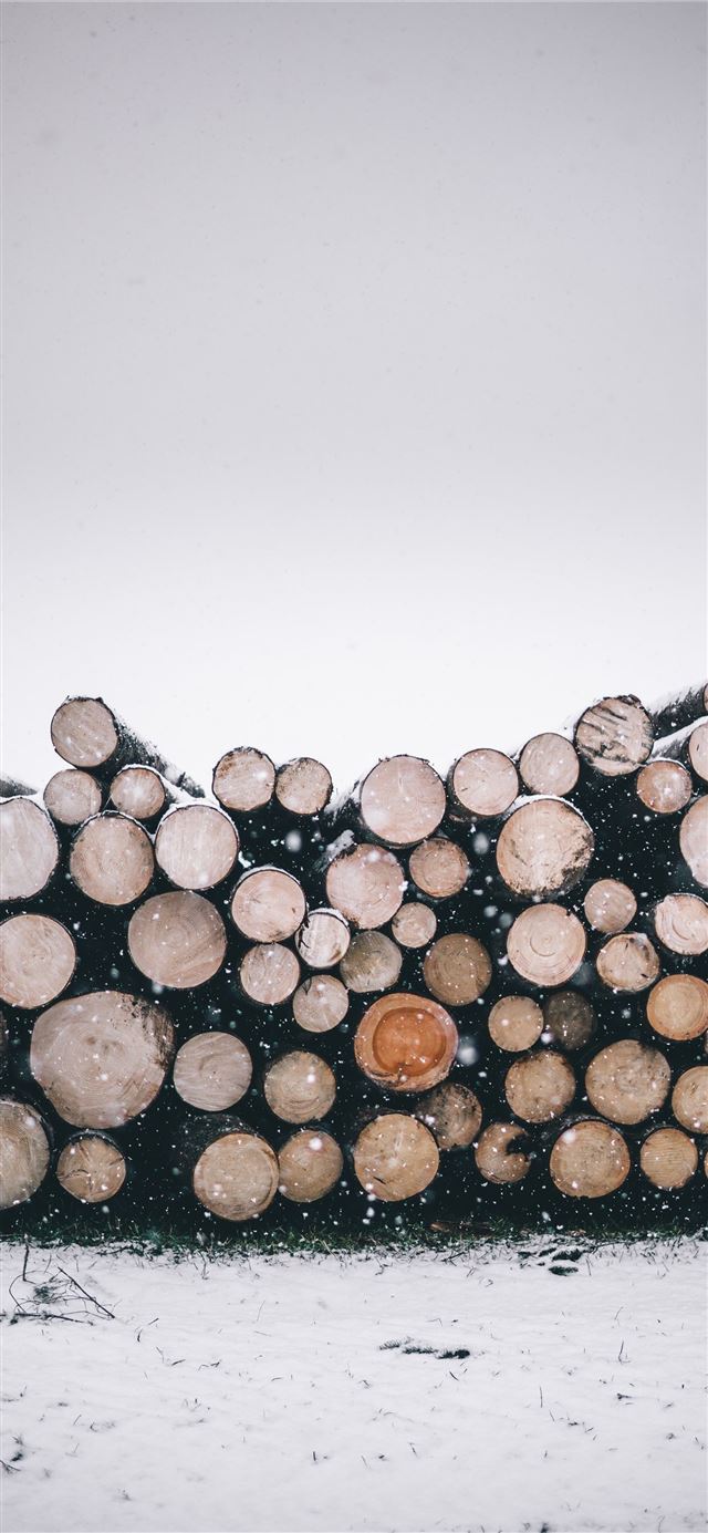 1125x2436 pile of wood logs - winter iPhone 11 Wallpaper