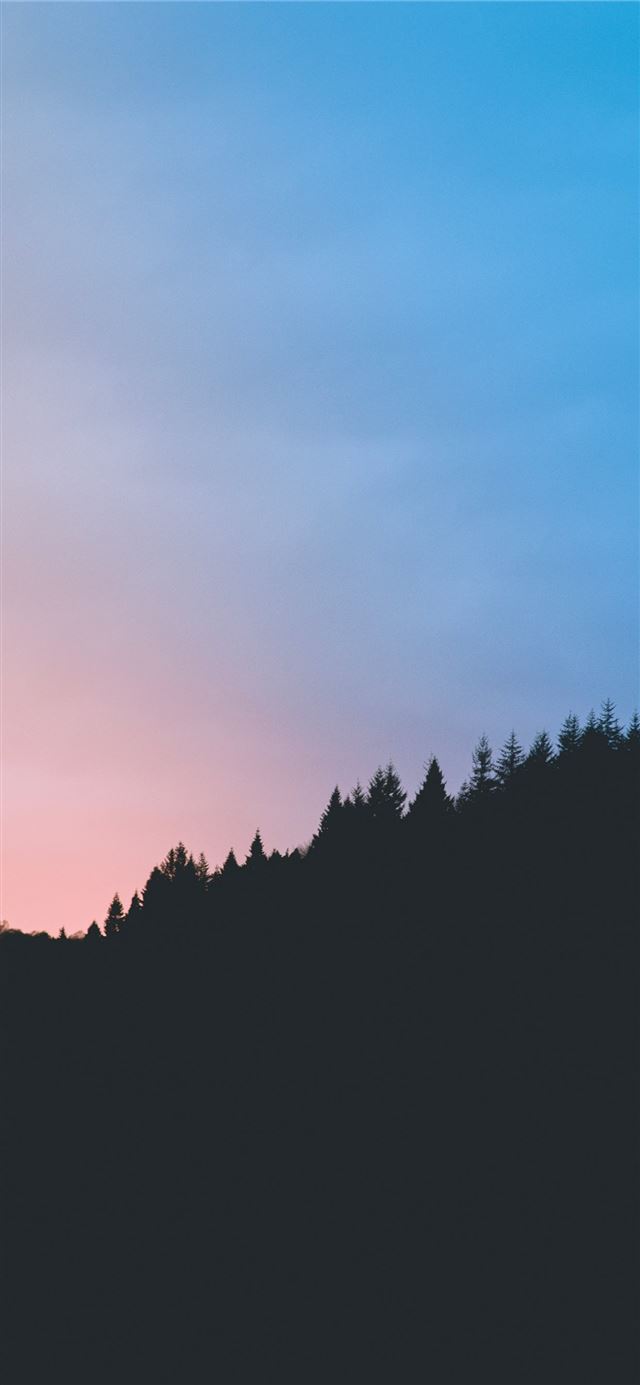 1125x2436 Sunset Silhouette - sunset iPhone 11 Wallpaper