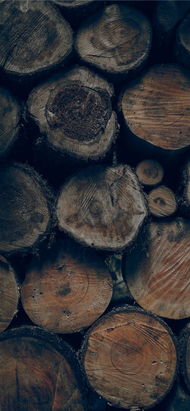 1125x2436 brown wood slice lot - green iPhone 11 Wallpaper