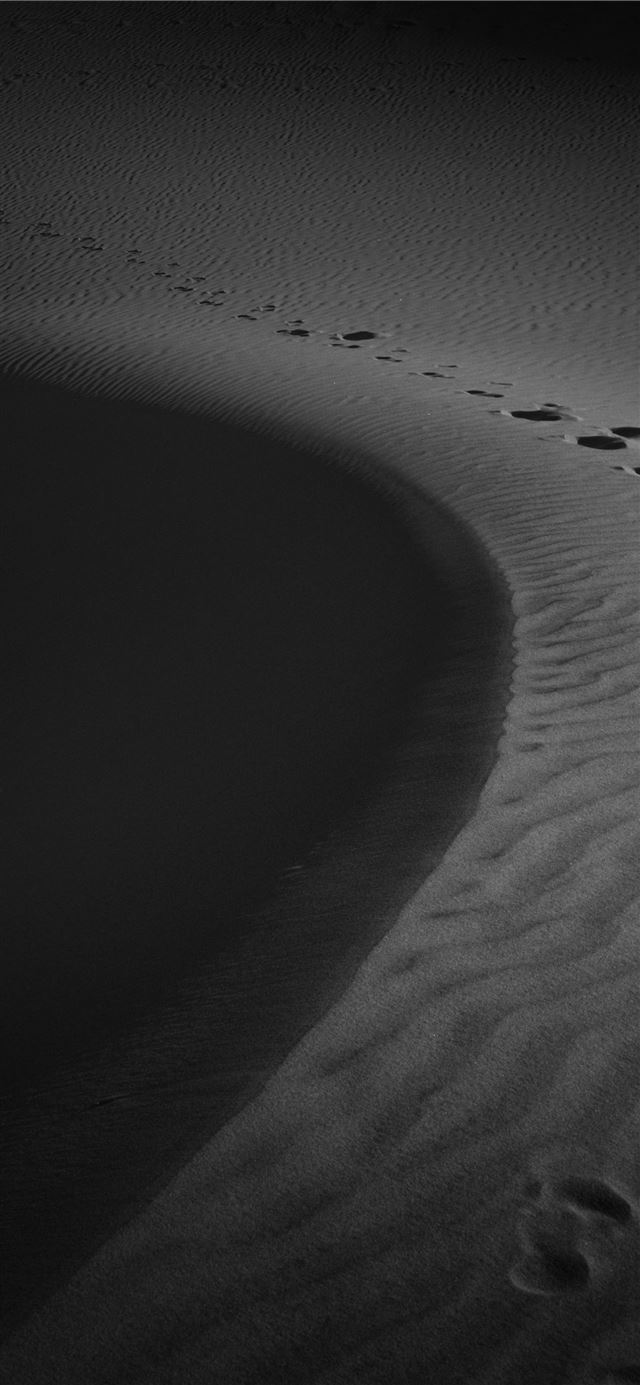 1125x2436 footprints on sand - grey iPhone 11 Wallpaper
