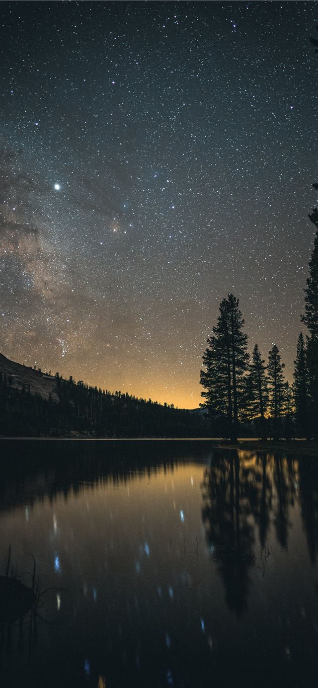 1125x2436 tall trees near body of water at nighttime - space iPhone 11 Wallpaper
