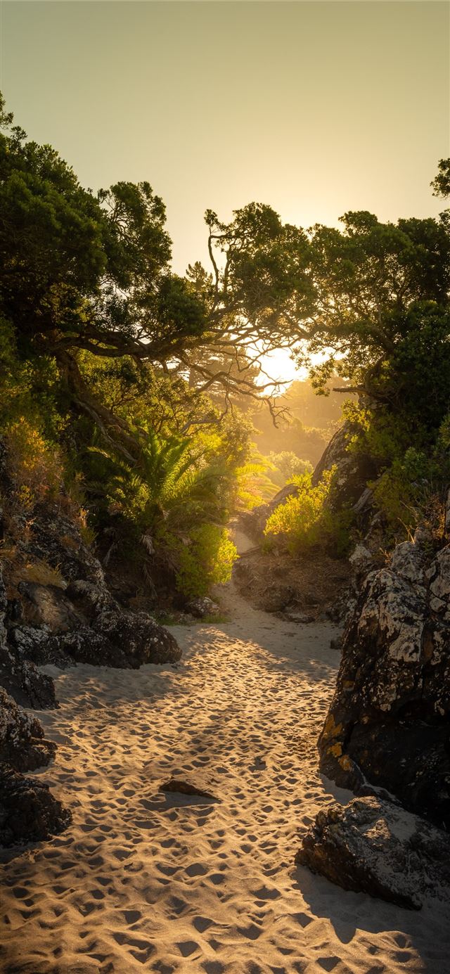 1125x2436 landscape photo of black boulder rocks and plants - ocean iPhone 11 Wallpaper