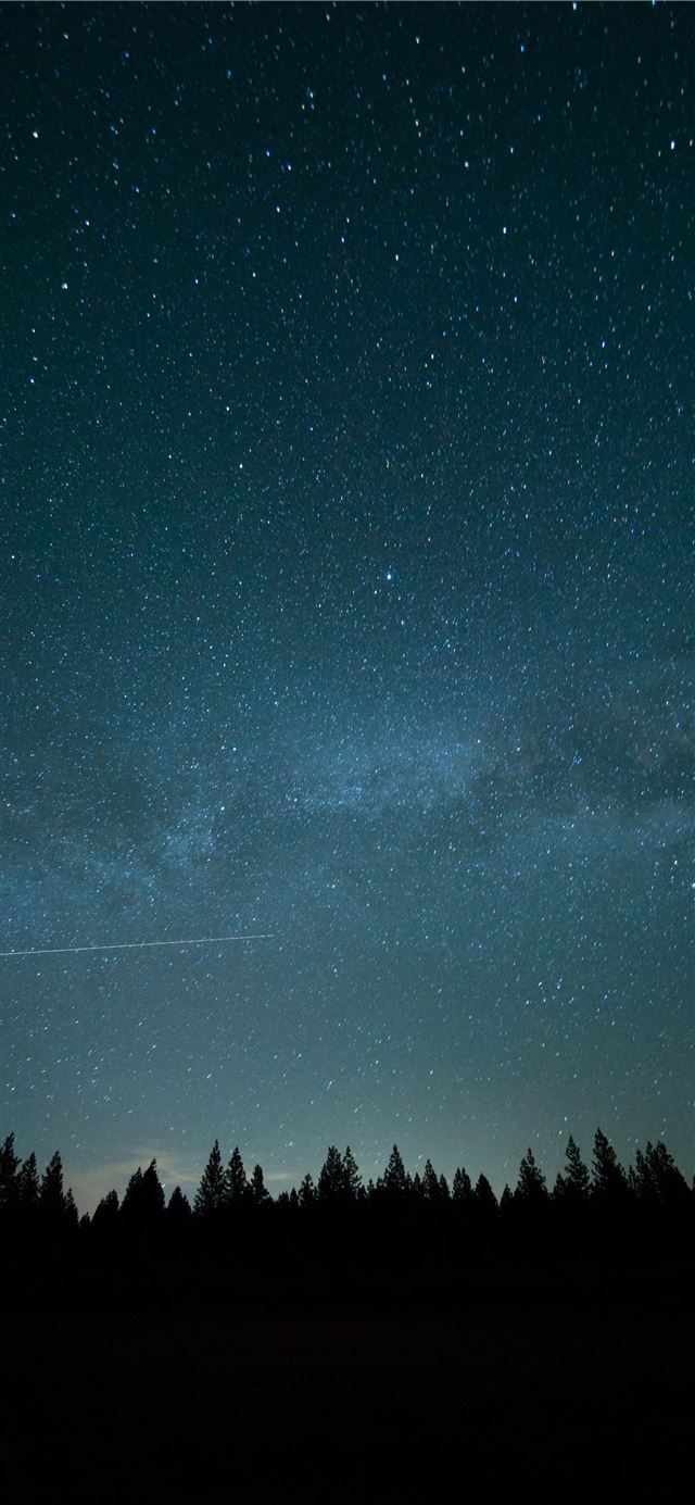 1125x2436 trees under blue sky and stars during nighttime ph... - star iPhone 11 Wallpaper