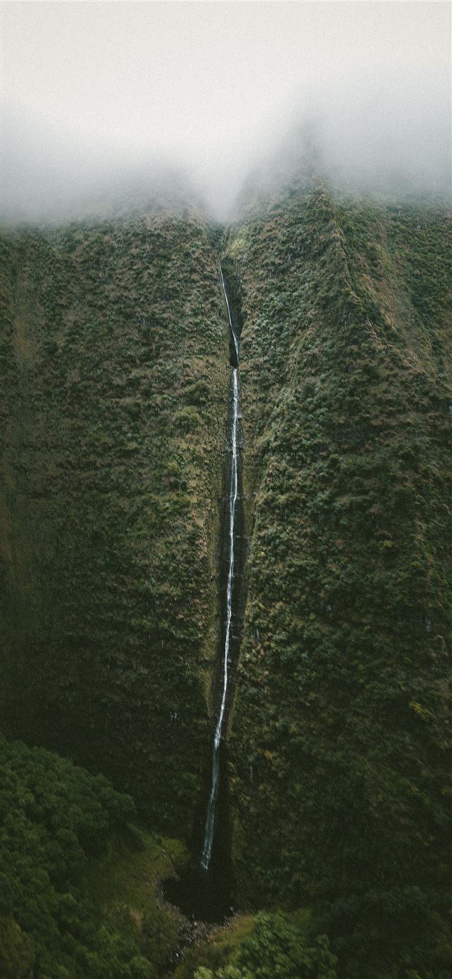 1125x2436 waterfall at mountain covered with trees - water iPhone 11 Wallpaper
