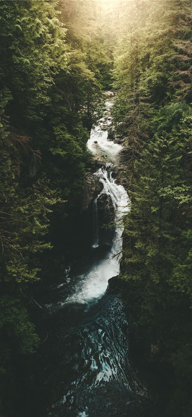 1125x2436 river surrounded by trees - grey iPhone 11 Wallpaper