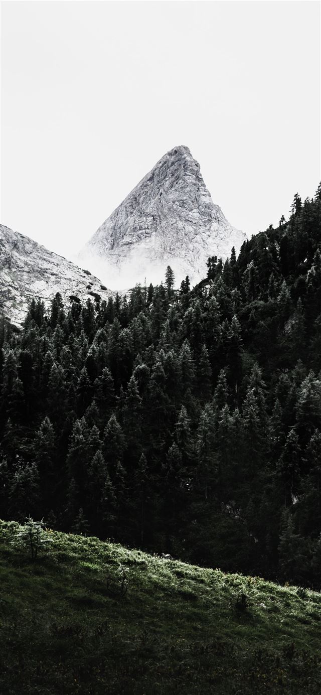 1125x2436 green pine trees across white mountain - grey iPhone 11 Wallpaper