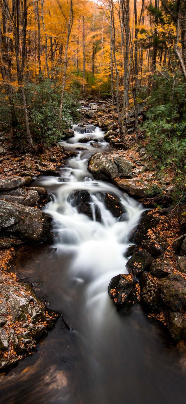 1125x2436 time lapse photo of body of water surrounded by tr... - forest iPhone 11 Wallpaper