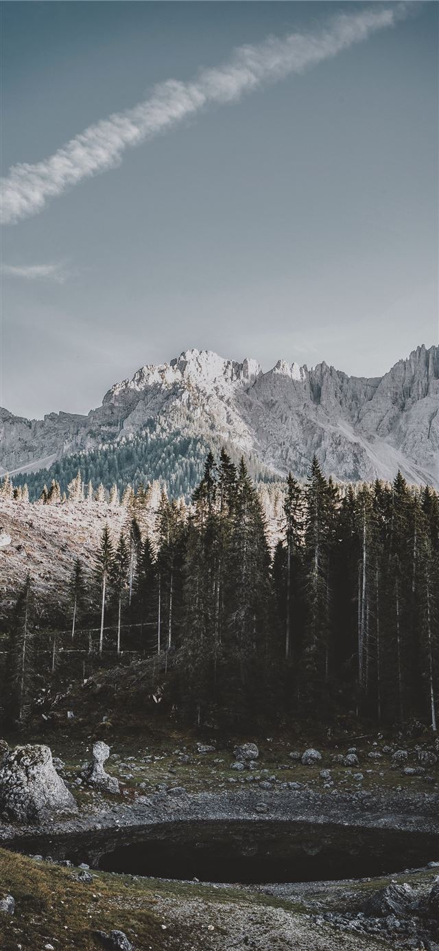 1125x2436 lake in forest - grey iPhone 11 Wallpaper