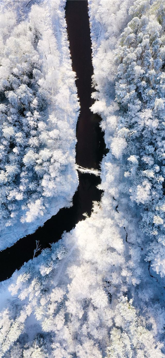 1125x2436 river near snow forest - mountain iPhone 11 Wallpaper