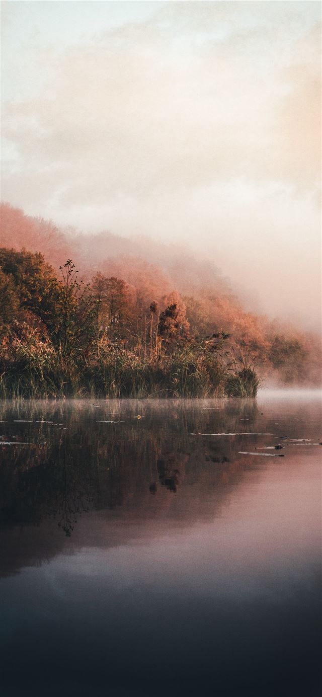 1125x2436 green leafed trees and body of water - deutschland iPhone 11 Wallpaper