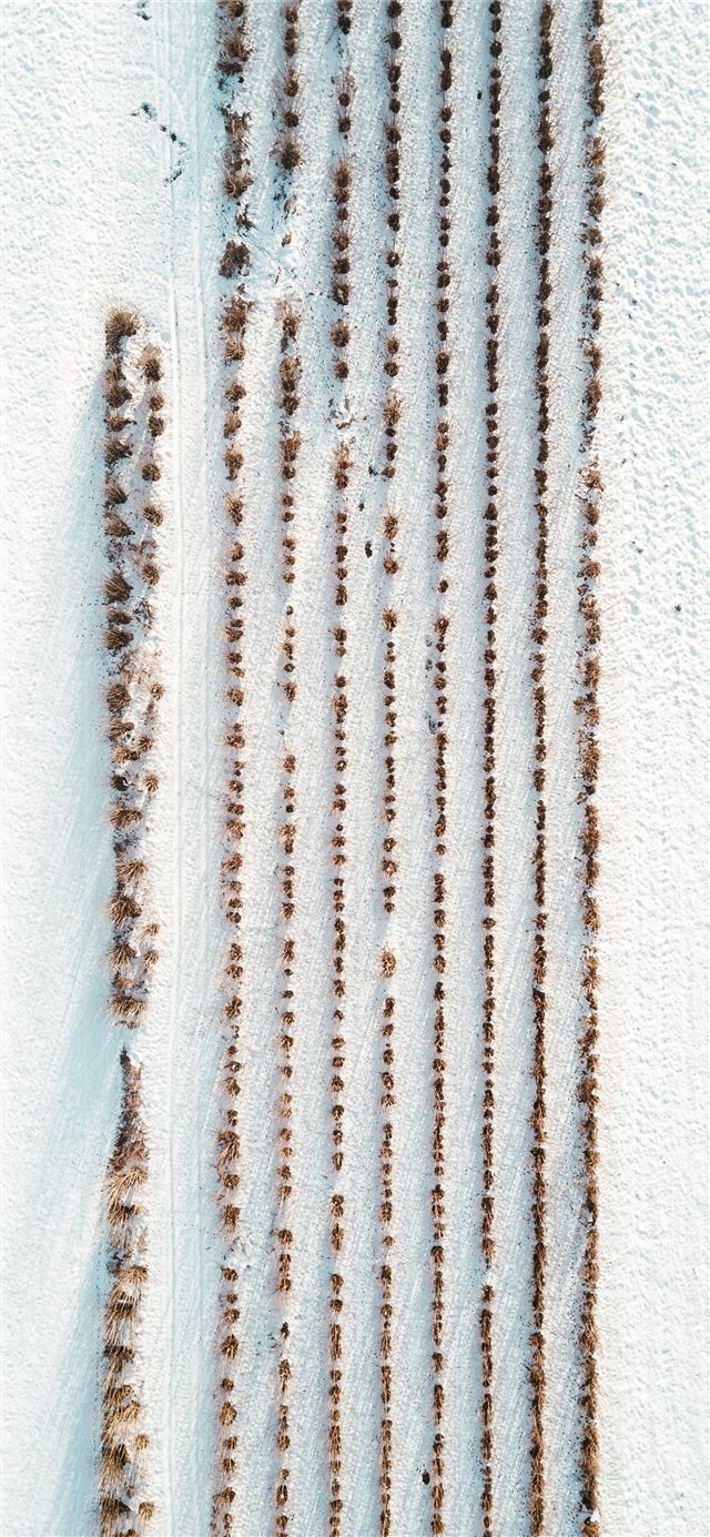 1125x2436 women's white and brown coat - white iPhone 11 Wallpaper