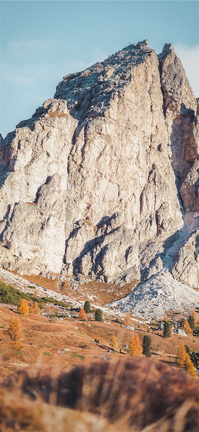 1125x2436 selective focus photography of rock formatio - bird iPhone 11 Wallpaper