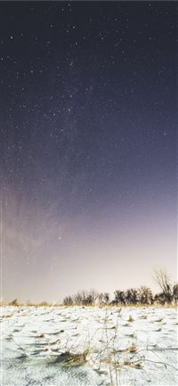 snow covered ground under sky full of stars iPhone 11 wallpaper