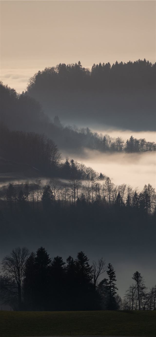 1125x2436 green trees on mountain during daytime - travel iPhone 11 Wallpaper