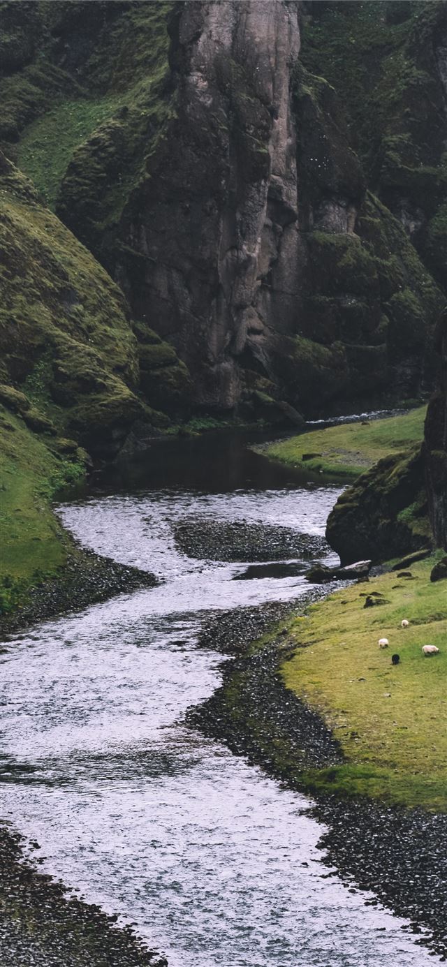 1125x2436 photo of stream - water iPhone 11 Wallpaper