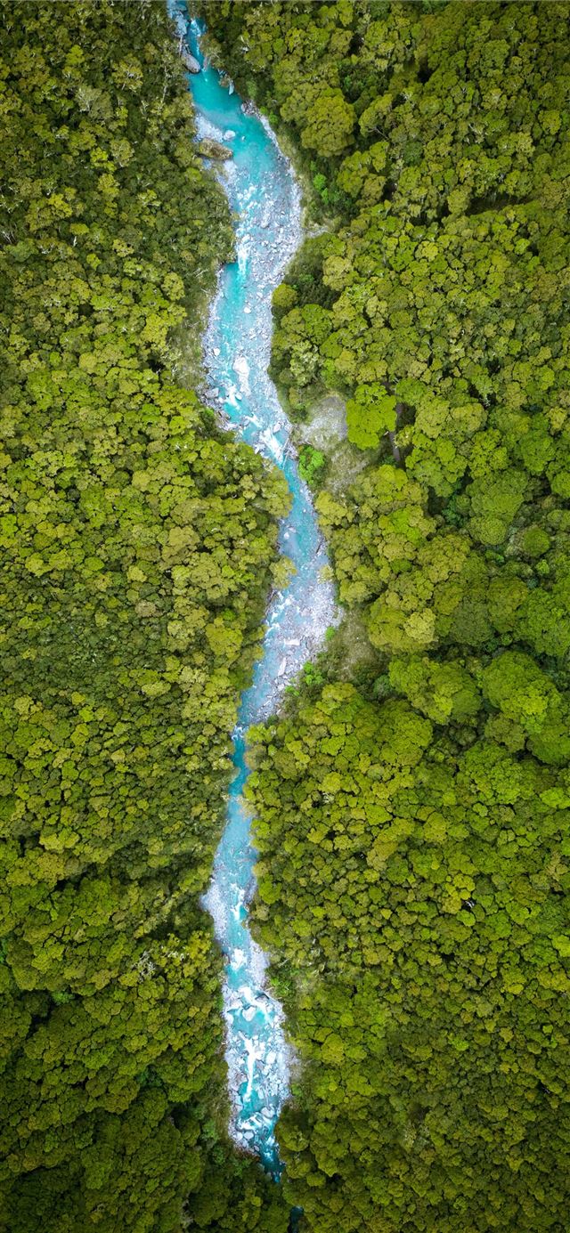 1125x2436 river between trees on daytime - green iPhone 11 Wallpaper