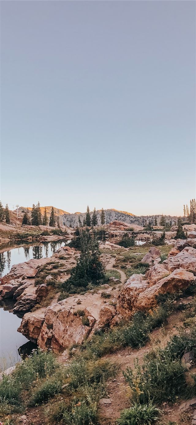 1125x2436 river and rocks - landscape iPhone 11 Wallpaper