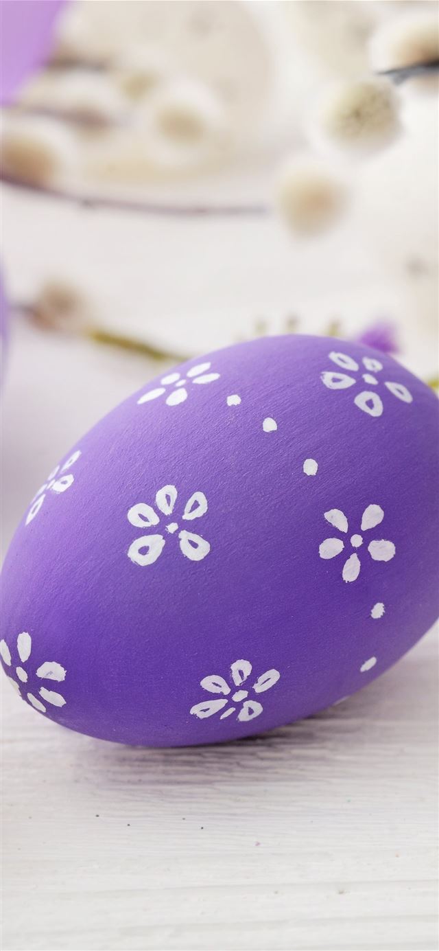 1125x2436 壁紙 紫色のイースターエッグ 祭り 小枝 7680x4320 UH... - trends iPhone 11 Wallpaper