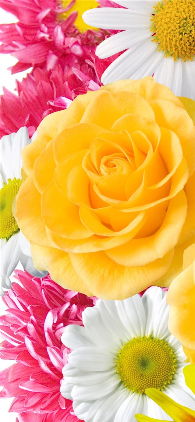 1125x2436 Yellow Flowers High Quality Resolution gt Yodobi - trends iPhone 11 Wallpaper