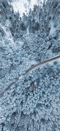 bird's eye view photo of empty way surrounded by p... wallpaper