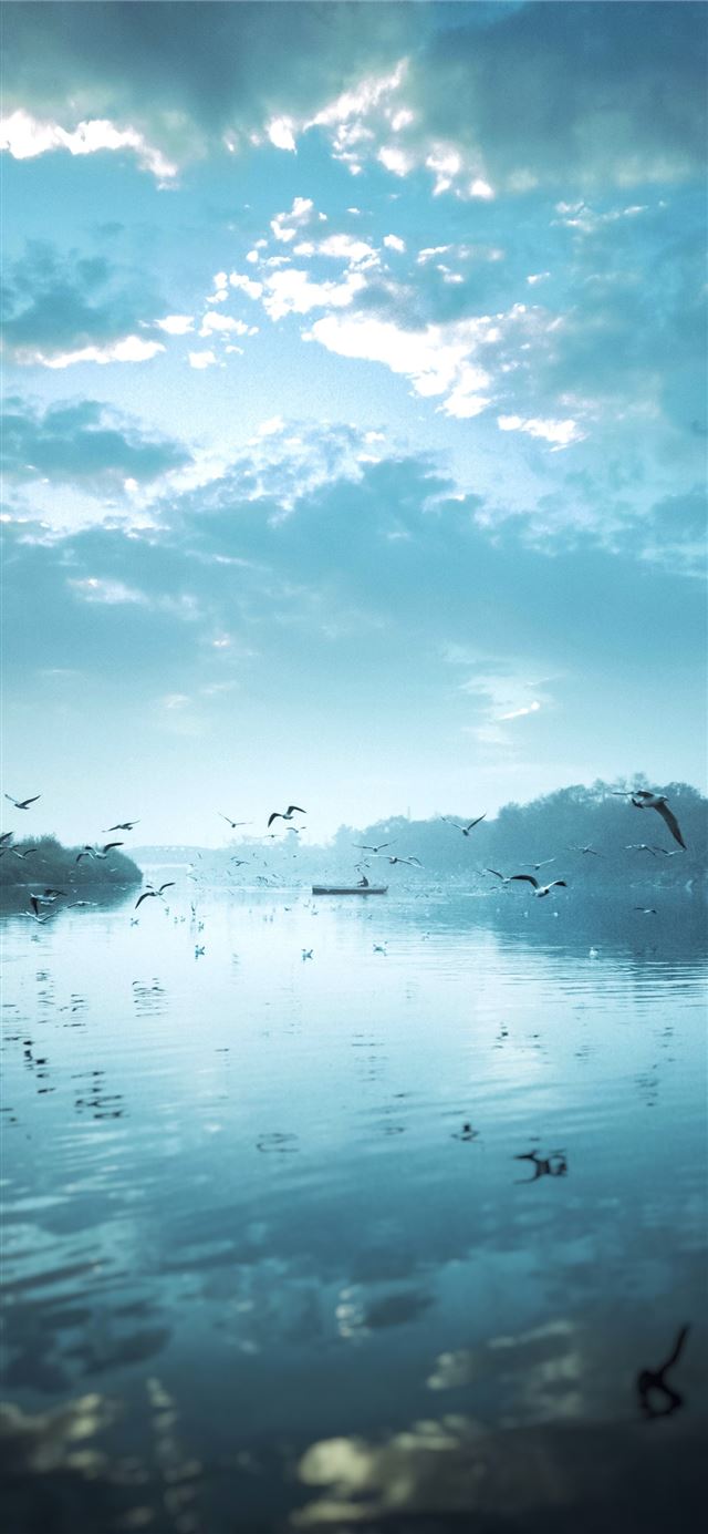 1125x2436 birds flying near body of water under cloudy sky d... - scenery iPhone 11 Wallpaper