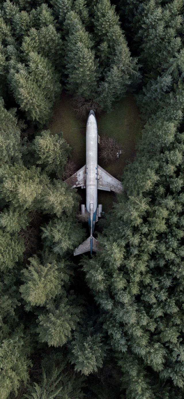 1125x2436 aerial photography of gray airplane - jungle iPhone 11 Wallpaper