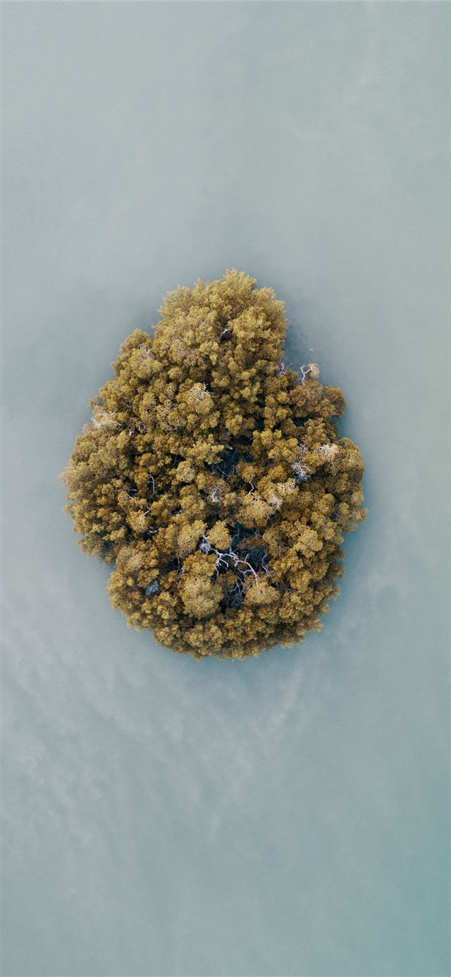 1125x2436 aerial photography of an island - trees iPhone 11 Wallpaper