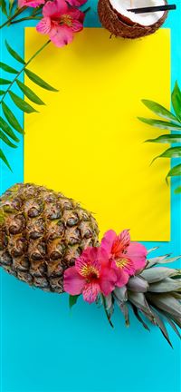 1500x2592 Summer Wallpaper Tropical Fruit Wallpape... wallpaper