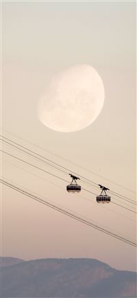 two black cable cars iPhone 11 wallpaper