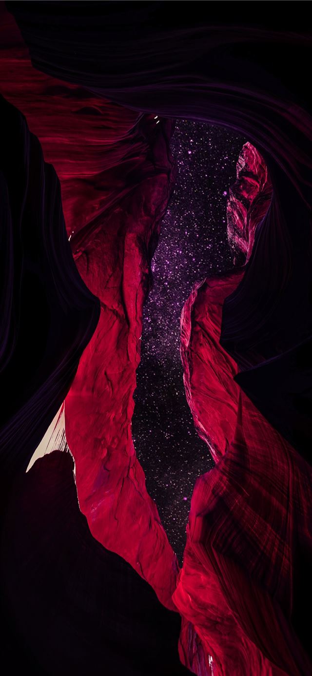 1125x2436 red flower illustration - flower iPhone 11 Wallpaper