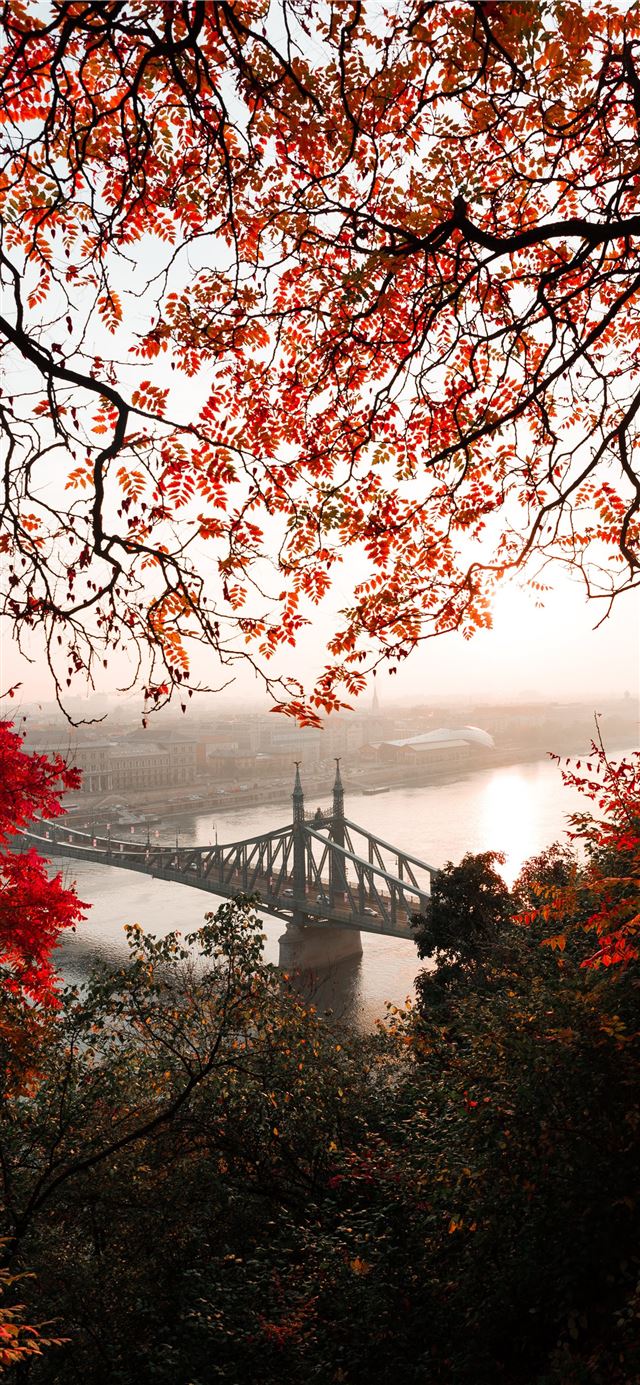 1125x2436 landscape photography of gray concrete bridge - budapest iPhone 11 Wallpaper