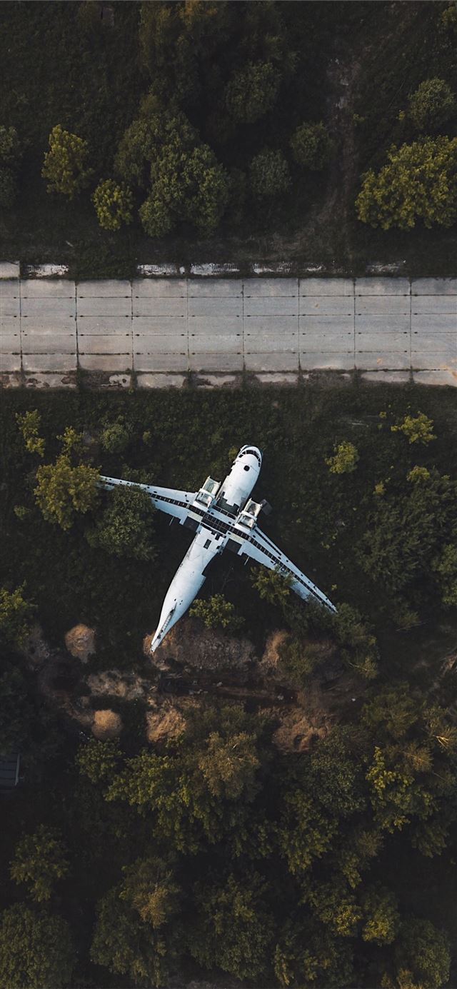 1125x2436 drone over road - bird iPhone 11 Wallpaper