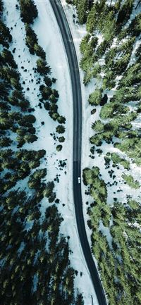 aerial photography vehicle on road surrounded by t... wallpaper