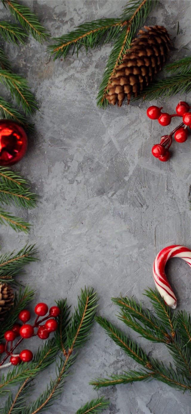 1125x2436 flat lay photography of pine cones candy cane gree... - bird iPhone 11 Wallpaper