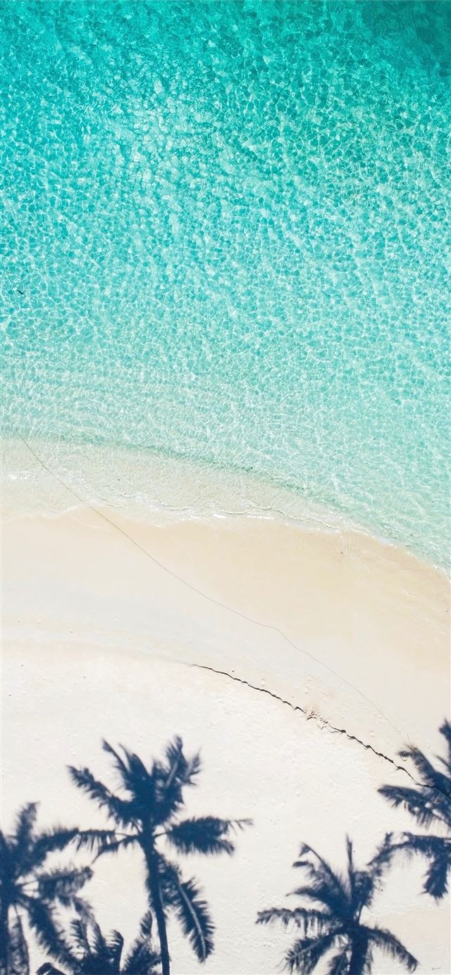 1125x2436 trees during day - maldives iPhone 11 Wallpaper