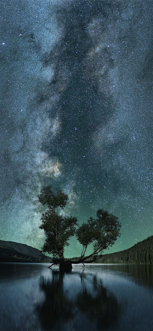 1125x2436 green leafed tree on body of water under starry sk... - sky iPhone 11 Wallpaper