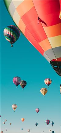 hot air balloons under blue sky iPhone 11 wallpaper