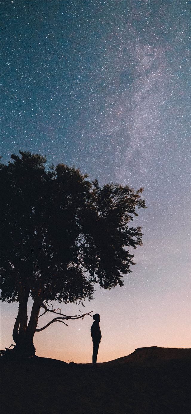 1125x2436 silhouette of man standing under the tree -  iPhone 11 Wallpaper