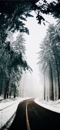 asphalt road in between trees covered with snow iPhone 11 wallpaper