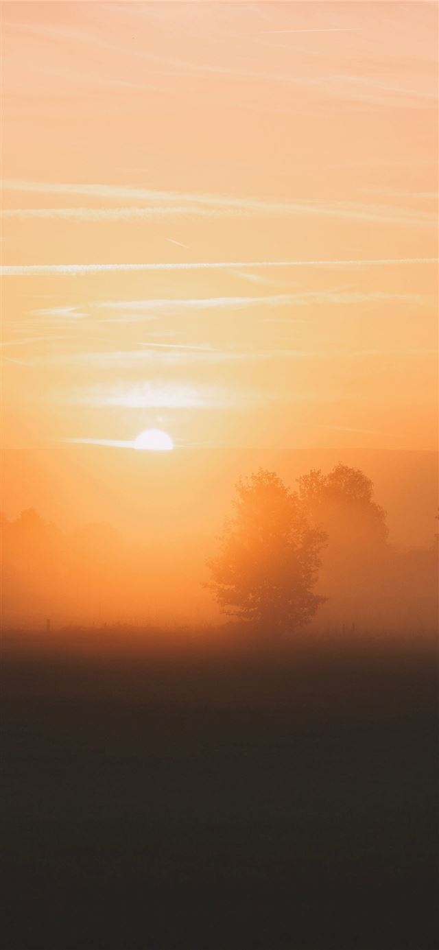 1125x2436 golden hour - sunset iPhone 11 Wallpaper