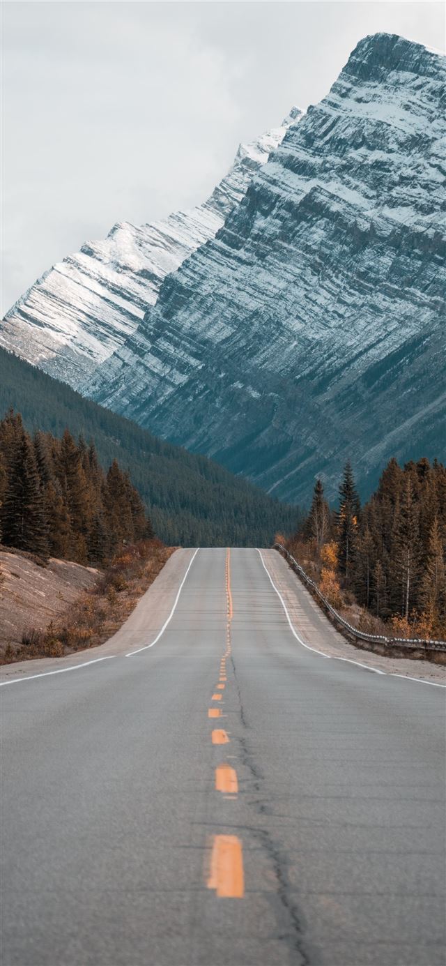 1125x2436 gray concrete road between trees near mountain - grey iPhone 11 Wallpaper