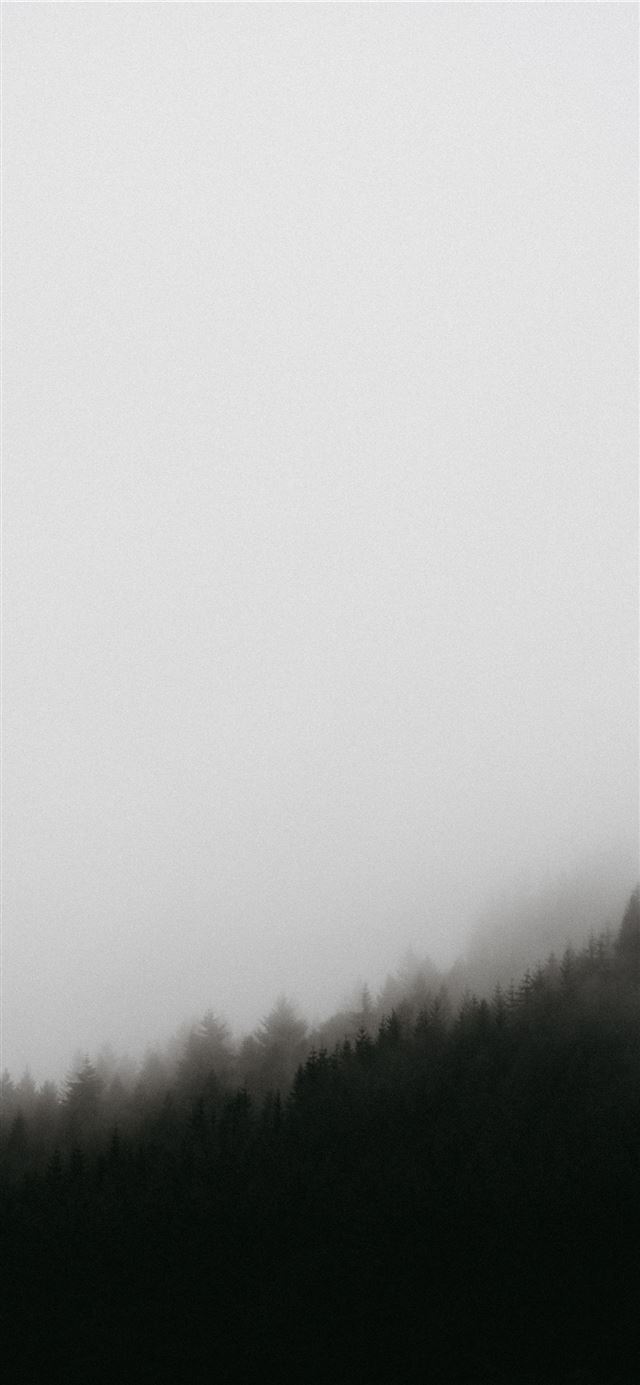 1125x2436 green trees - nature iPhone 11 Wallpaper