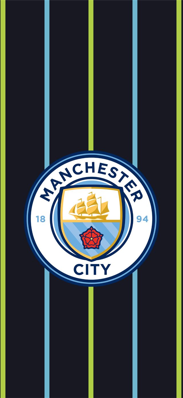 1125x2436 Tottenham Vs Manchester City Champions League HD - egypt iPhone 11 Wallpaper