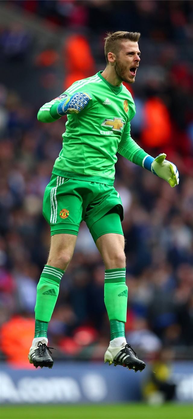 1125x2436 David De Gea - sport celebrity iPhone 11 Wallpaper