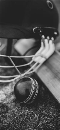 Congratulations to Eoin Morgan wallpaper