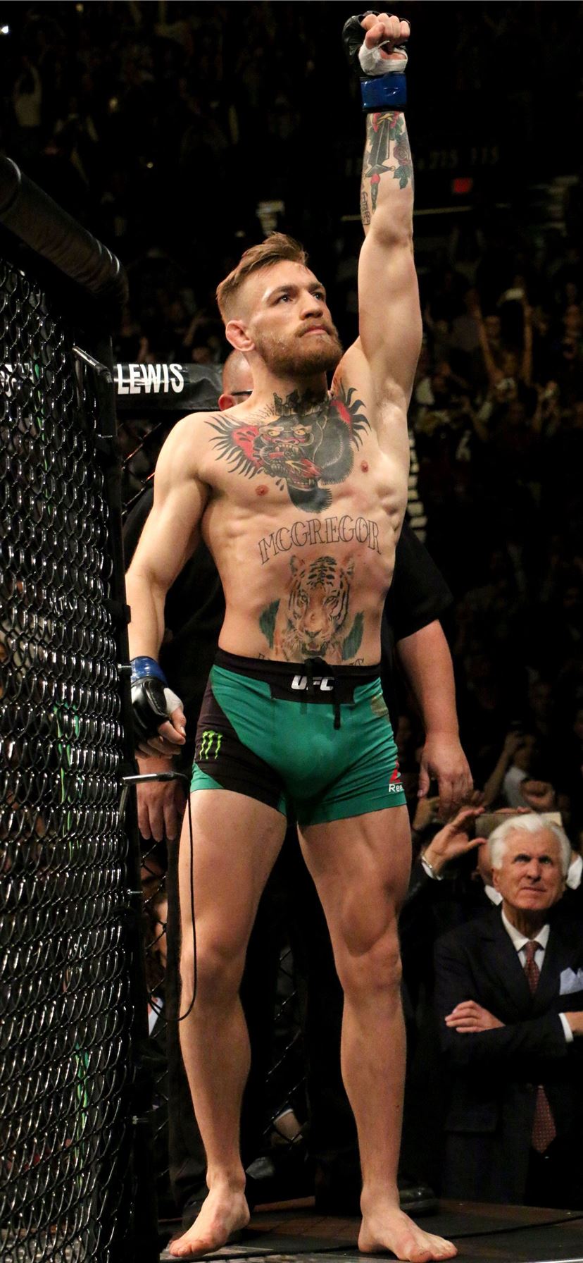 Conor McGregor Give it up for the man iPhone 11 Wallpapers ...