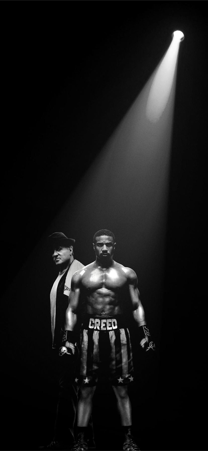 Boxing iphone HD wallpapers  Pxfuel