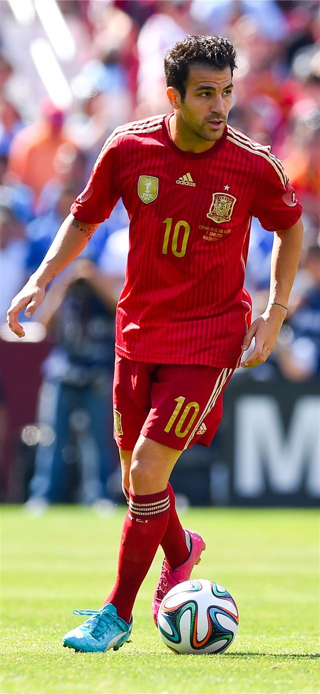 1125x2436 Cesc Fabregas Spain  - spain iPhone 11 Wallpaper