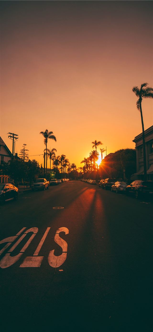 1125x2436 px - shikhar dhawan iPhone 11 Wallpaper